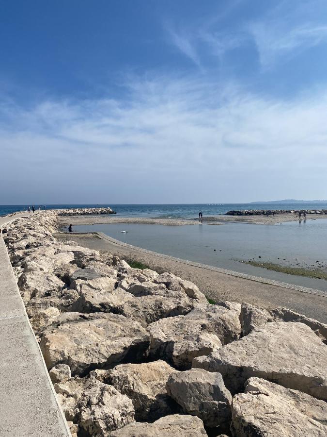 50M Plage / 200M Hippodrome 2 Pieces Jardin Garage Καν-συρ-Μερ Εξωτερικό φωτογραφία