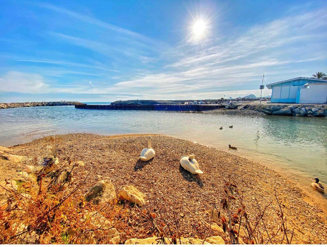 50M Plage / 200M Hippodrome 2 Pieces Jardin Garage Καν-συρ-Μερ Εξωτερικό φωτογραφία